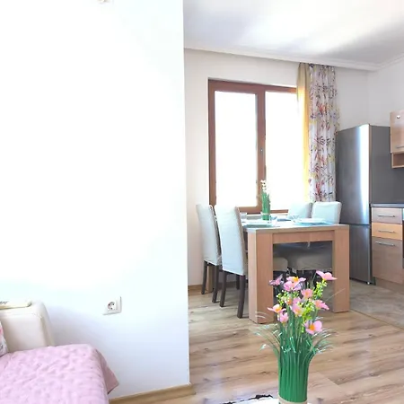 Rilska - Center And Sea Garden * بورغاس