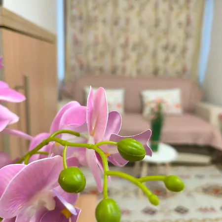 Rilska - Center And Sea Garden شقة