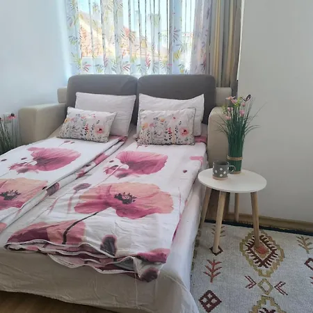 Rilska - Center And Sea Garden شقة بورغاس